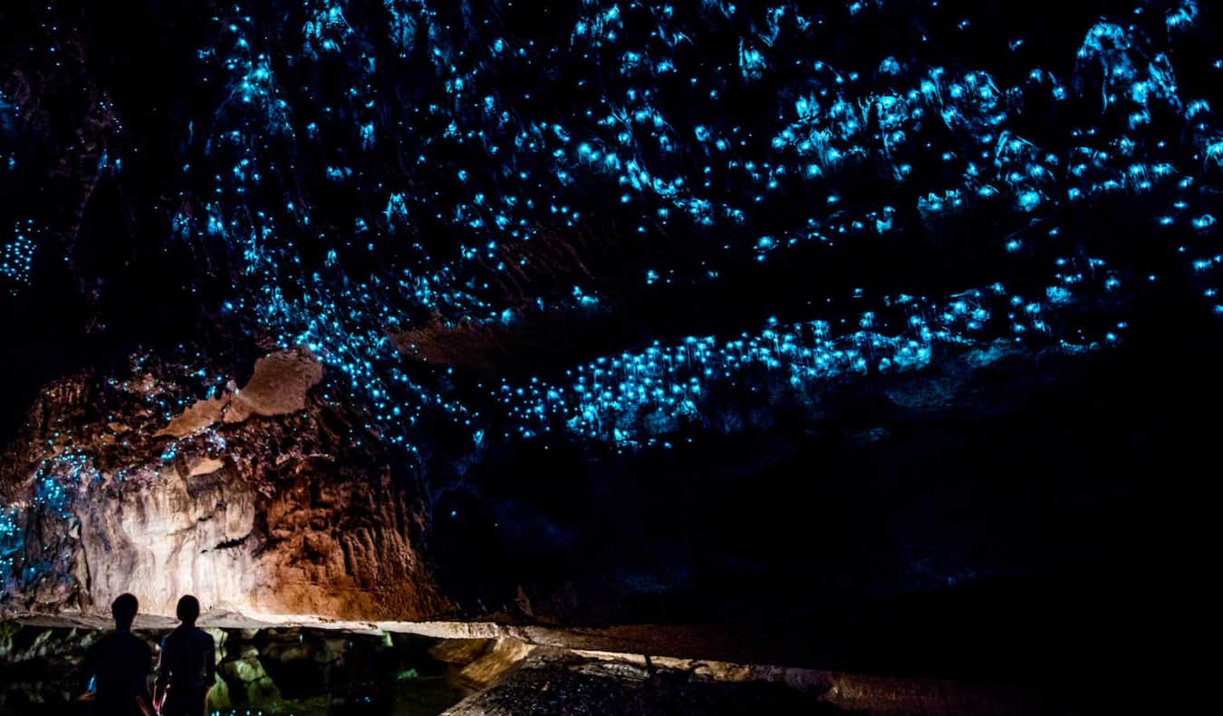 Waitomo Caves